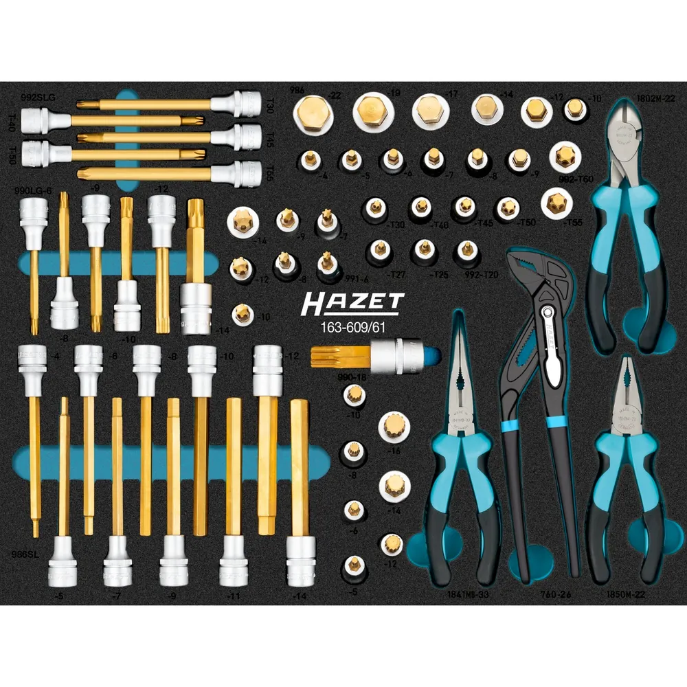 HAZET - Schraubendreher-Steckschlüsseleinsatz Satz 163-609/61 ∙ 1/2 Zoll (12,5 mm) Vierkant hohl ∙ Innen TORX® Profil, Innen Sechskant Profil, Innen Vielzahn Profil XZN, Innen Keilprofil Ribe-CV ∙ 61-teilig ∙ 4 – 22 ∙ M5 – M18 ∙ T20 – T60