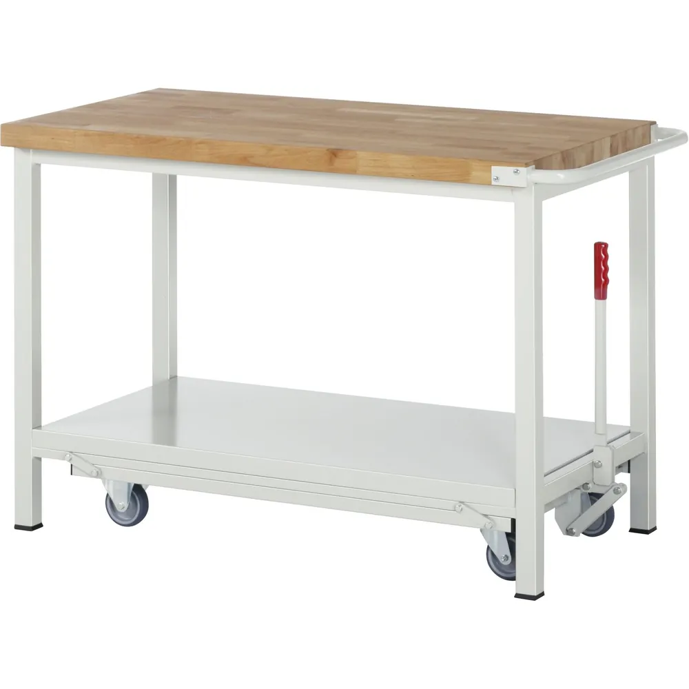 RAU. - Absenkbare Werkbank BASIC 8000-6 B1250 x T700 x H880mm Hover Image