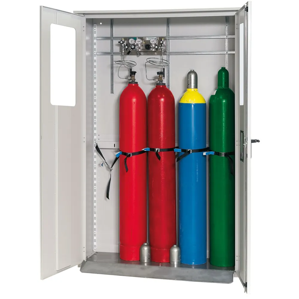 asecos® - Druckgasflaschenschrank einwandig mit Fenster für 5 Flaschen à 50 Liter