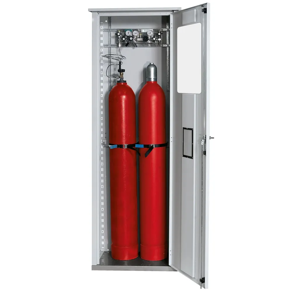 asecos® - Druckgasflaschenschrank einwandig mit Fenster für 2 Flaschen à 50 Liter